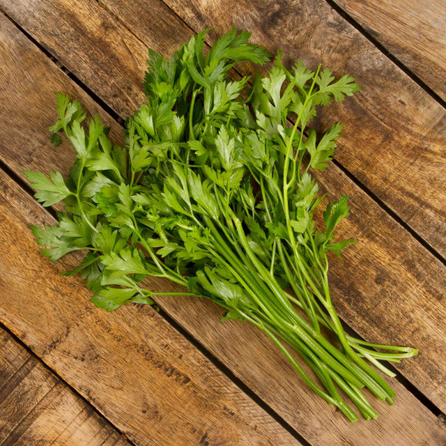 Parsley - (bundle)