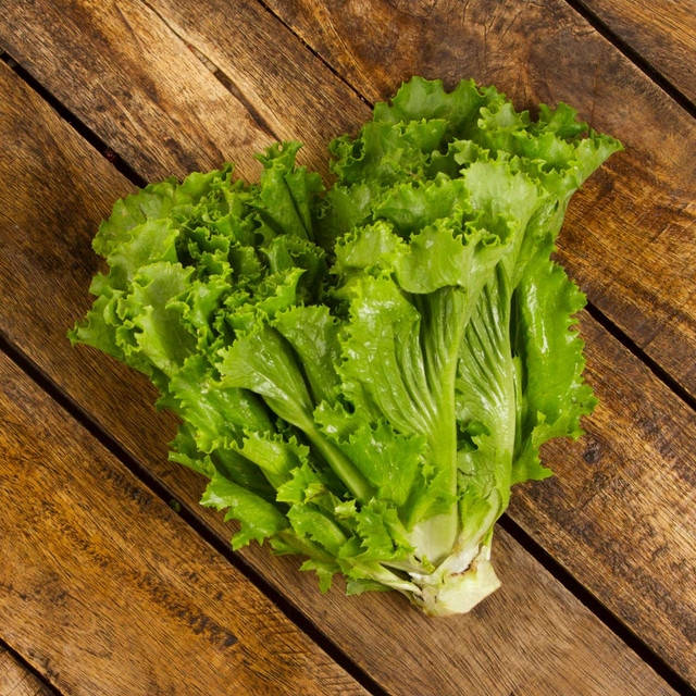 Lechuga Italiana - (unidad)