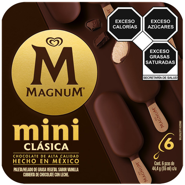 Mini Ice Cream Bar Vanilla and Chocolate Magnum (6pack)