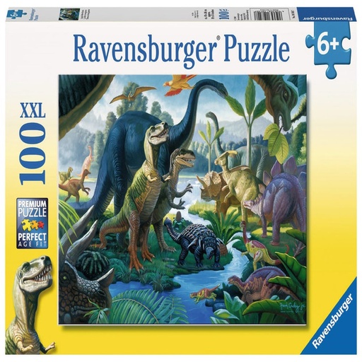 Puzzle- Image may vary (100)