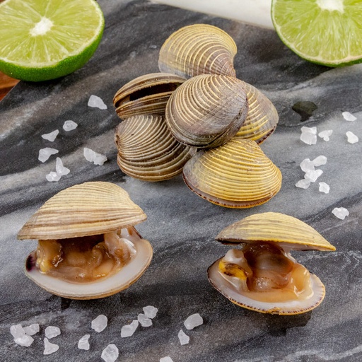 Chirla Clams - (1lb)